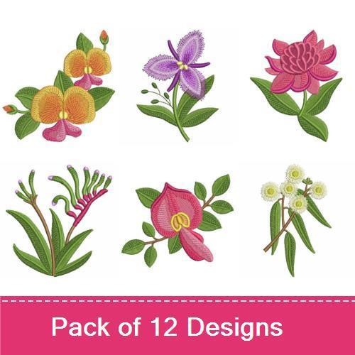 Australian Wildflowers