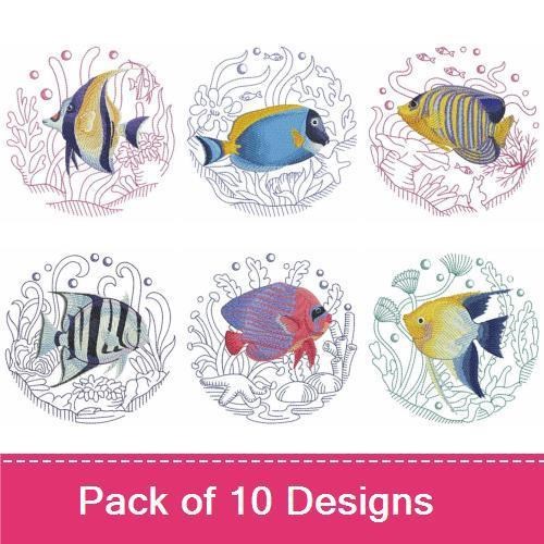 Tropical Fish In Coral