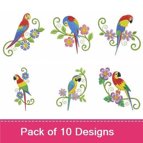 Cute Colorful Parrots