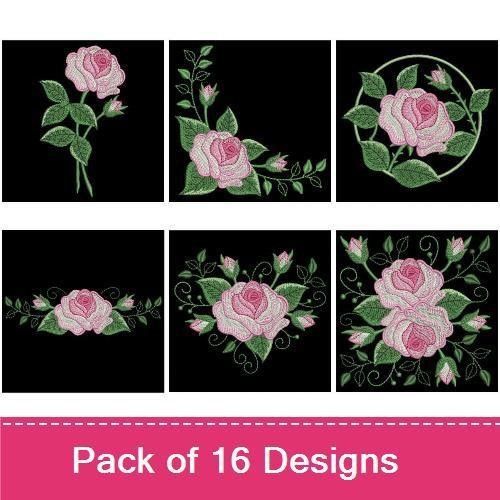 Pink Roses