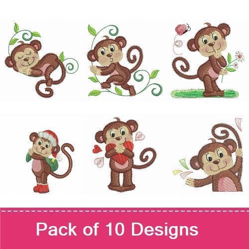 Cute Baby Monkey