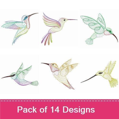Rippled Hummingbirds