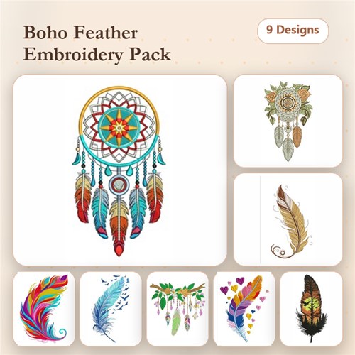 Bird Feathers