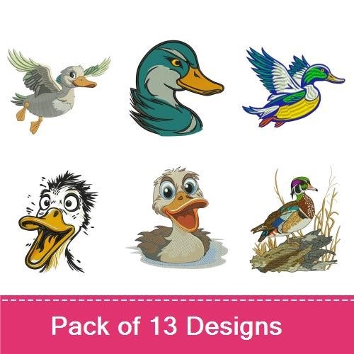 Duck