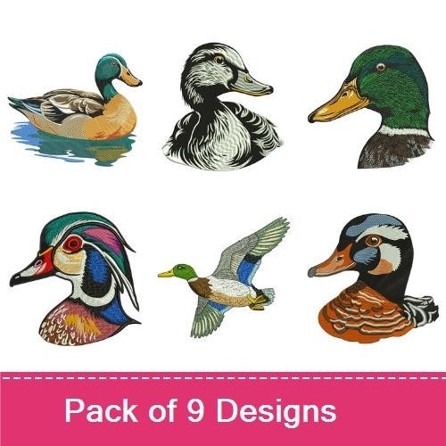 Ducks