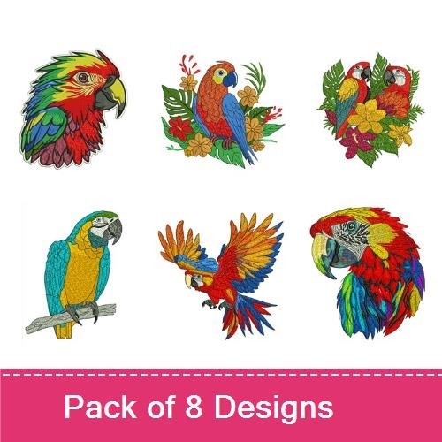 Macaw Parrots