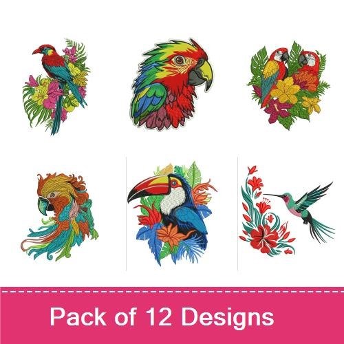 Tropical Birds