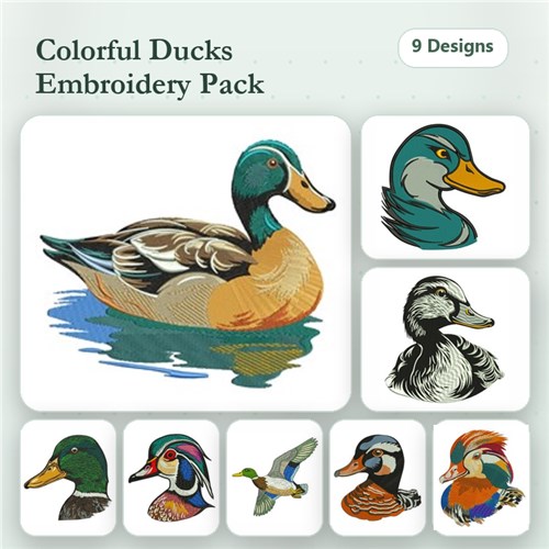 Ducks