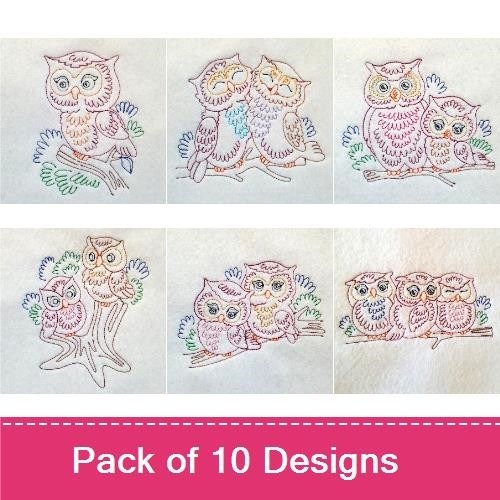 Colorline Owls