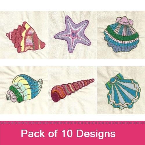 Sea Shells