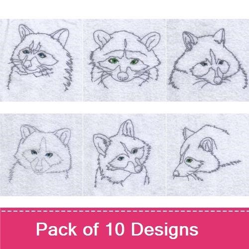 Raccoon Heads