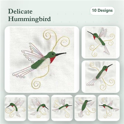Ruby Throated Hummingbirds