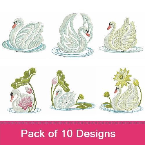 Lotus and Swan
