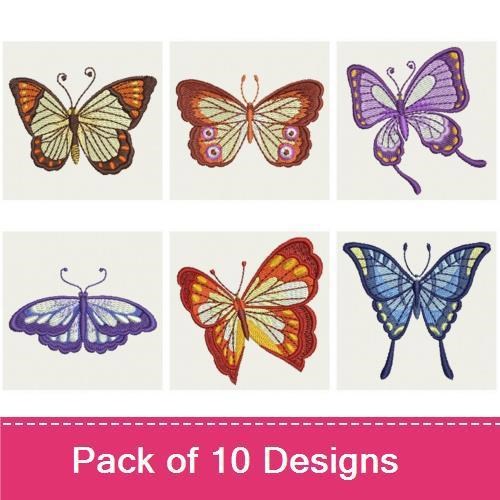 Elegant Butterflies