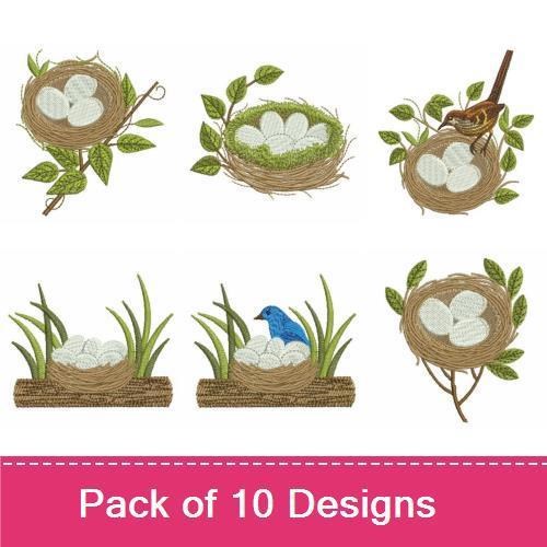 Bird Nest