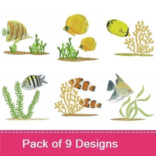 Tropical Fishes