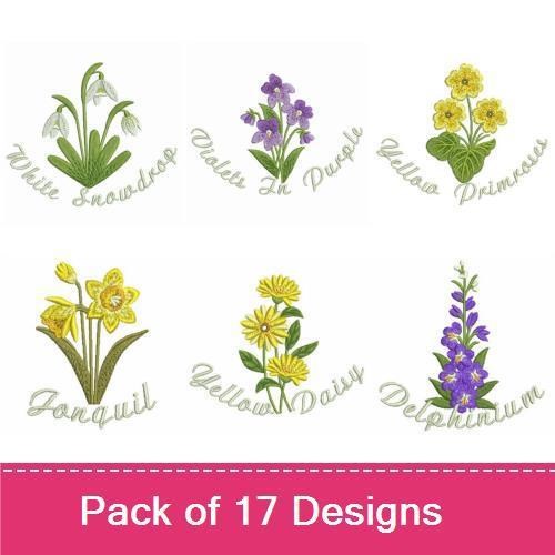 Flowers of the Month 2