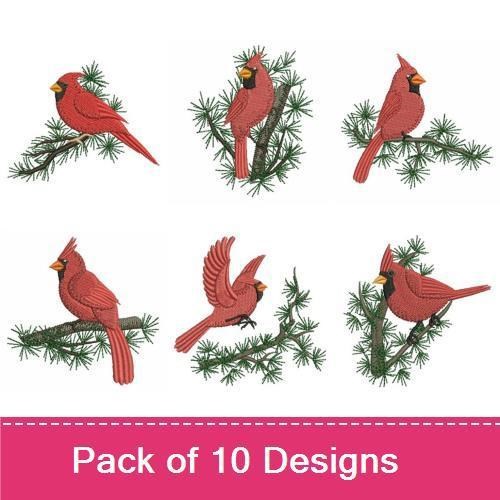 Cardinal