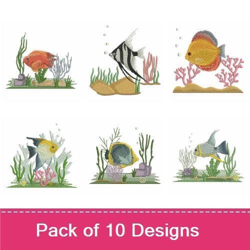Colorful Tropical Fish 2