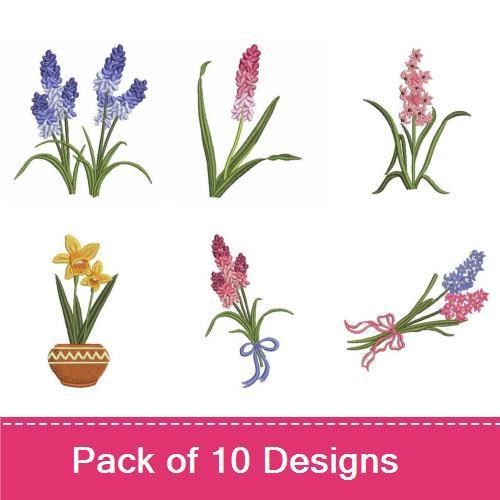 Delightful Flowers