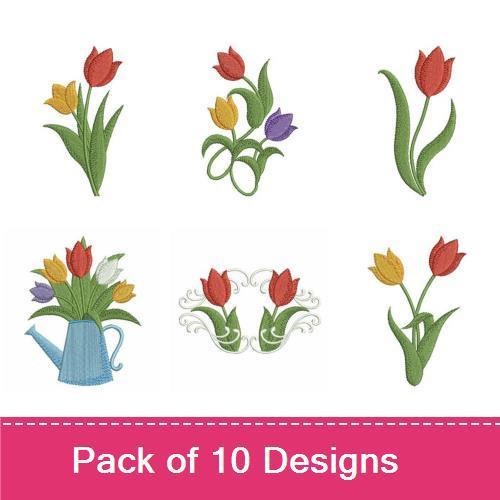 Colorful Tulips