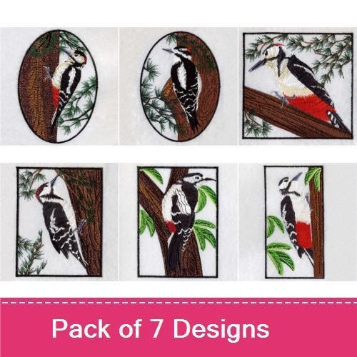 Woodpecker
