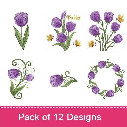 Purple Tulip