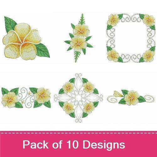 Plumeria