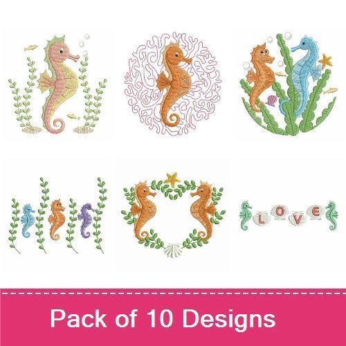Seahorse