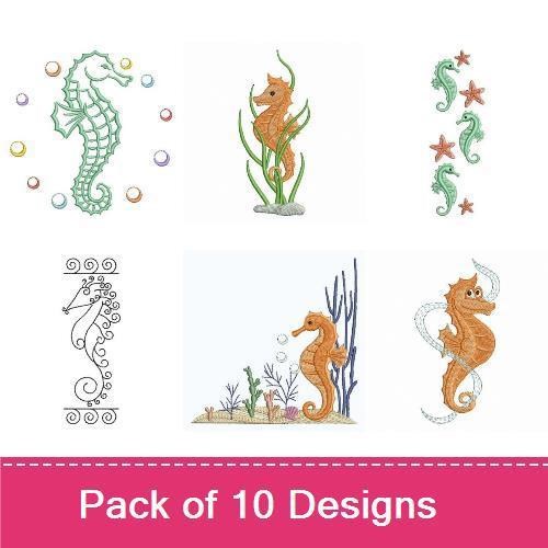 Seahorse 2