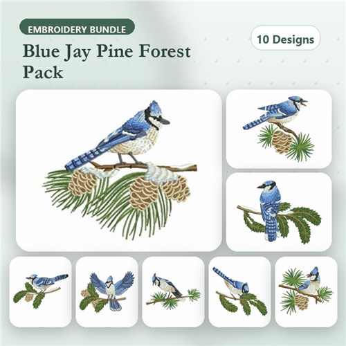 Winter Bluejay