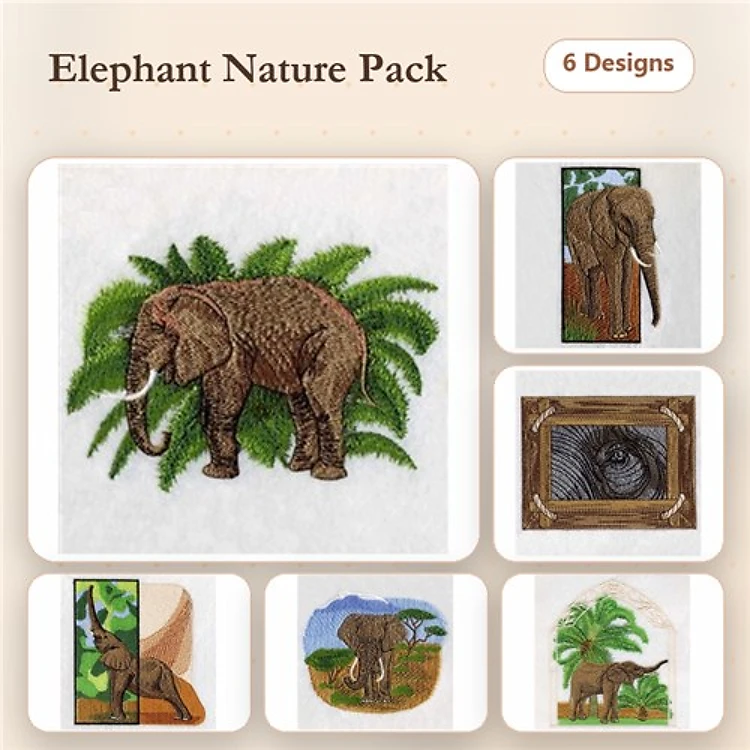 African Elephants 2