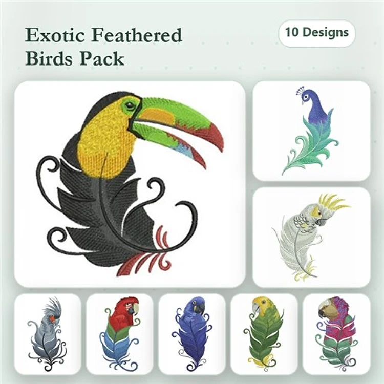 Bird Feathers 2