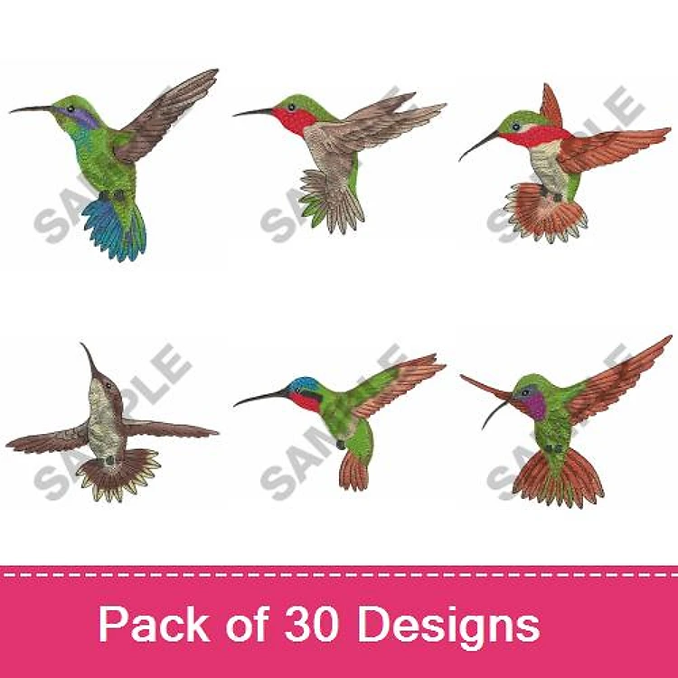 Hummingbird Embroidery Designs Bundle – Hummingbird with Green Head, Hummingbird in Flight, Hummingbird with Colorful Feathers & More (30 Designs)