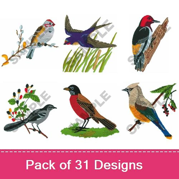 Bird Embroidery Bundle – Sparrow, Swallow, Woodpecker, Robin & More (31 Designs)