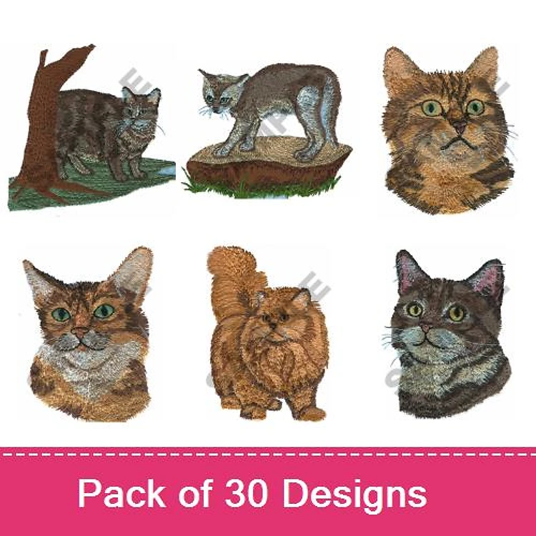 Cat Portraits Embroidery Bundle – Tabby Cat with Tree, Maine Coon, Siamese Cat & More (30 Designs)