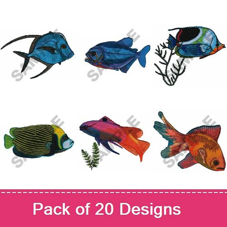 Tropical Fish 1