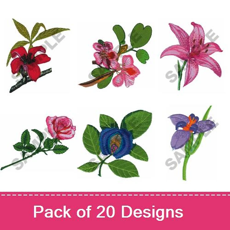 Exotic Flowers 1
