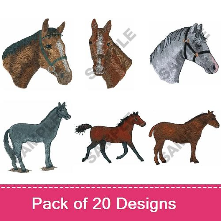Horses 1
