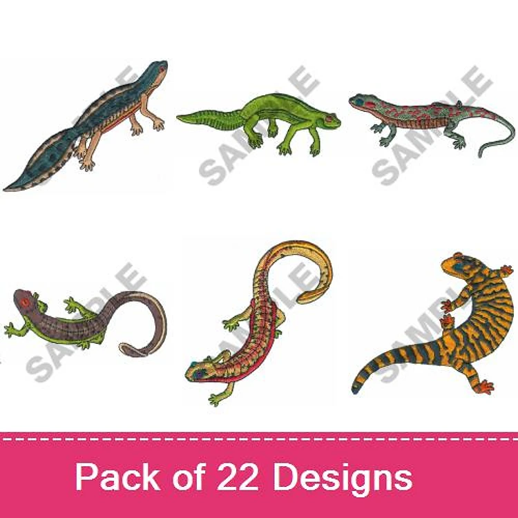 Lizard & Salamander Embroidery Designs Bundle – Colorful Lizard, Spotted Lizard, Green Salamander & More (22 Designs)