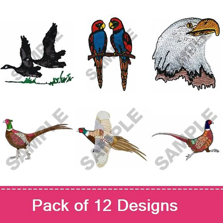 Wildlife Birds