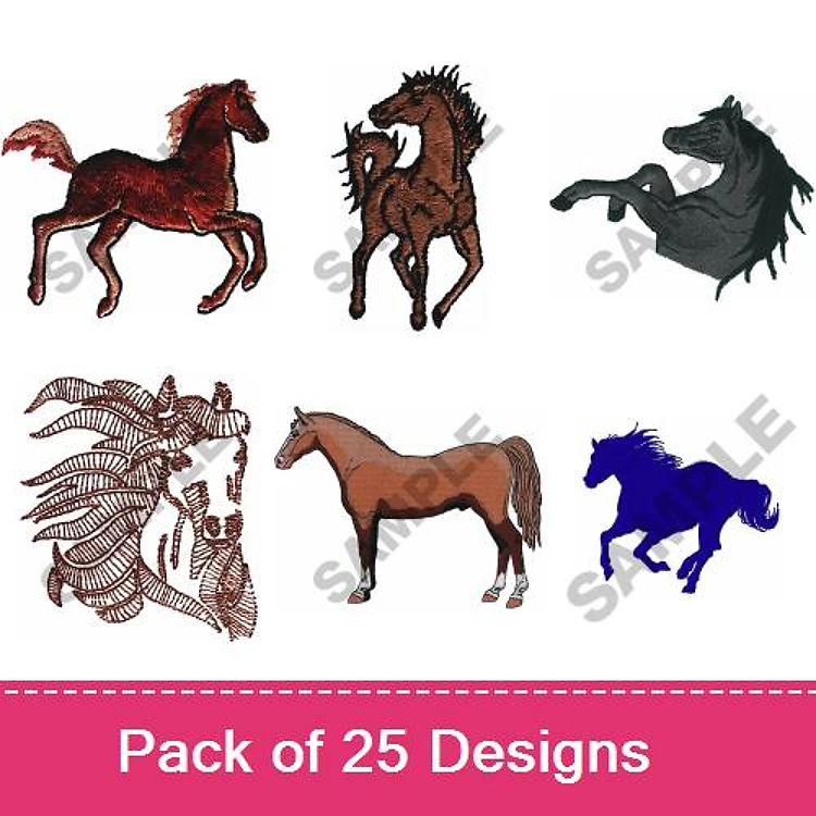 Horses For All Ages