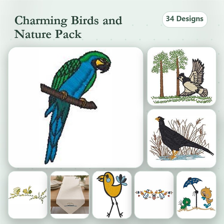Charming Birds and Nature Embroidery Designs Bundle – Macaw, Blue Jay, Forest Scene & More (34 Designs)