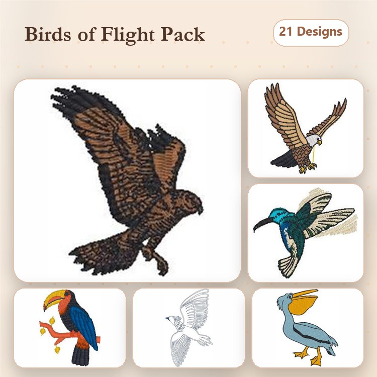Birds in Flight Embroidery Designs Bundle – Eagle, Hummingbird, Seagull, Toucan & More (21 Designs)