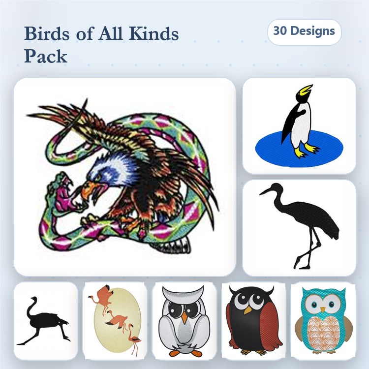 Colorful Bird Embroidery Bundle – Penguin, Heron, Owl & More (30 Designs)