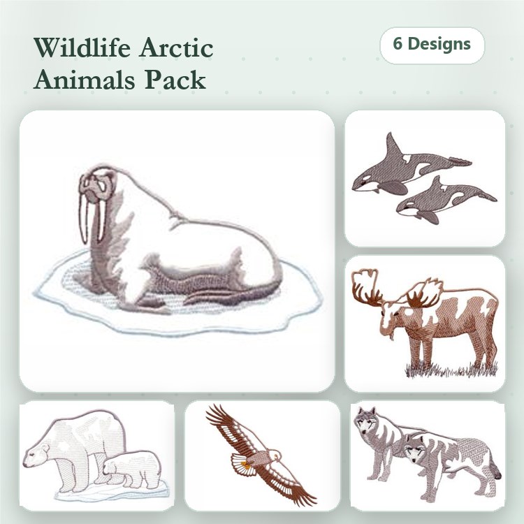 Walrus, Orca & Moose Embroidery Bundle – Wildlife Designs (6 Designs)
