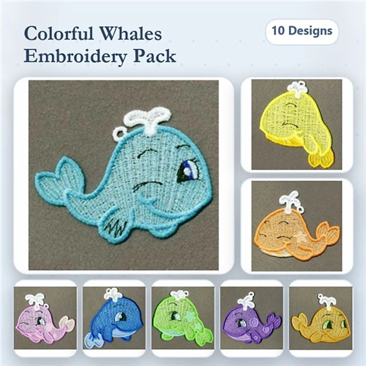 FSL Colorful Dolphins