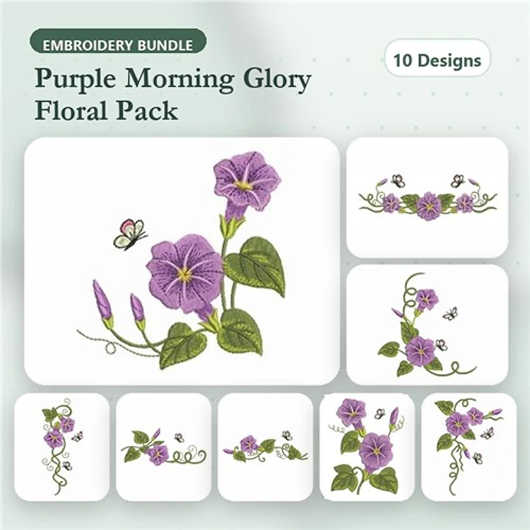 Elegant Morning Glory