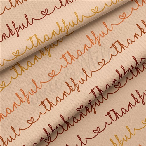 Rib Knit Fabric, RBK1963 & Get a Free $89.99 Embroidery Bundle