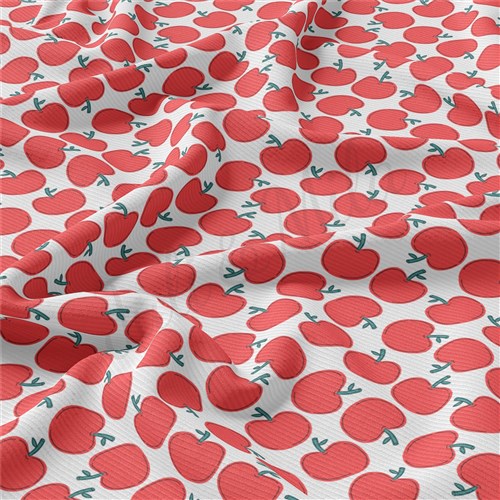 Back to School Rib Knit Fabric, RBK1547 & Get a Free $89.99 Embroidery Bundle